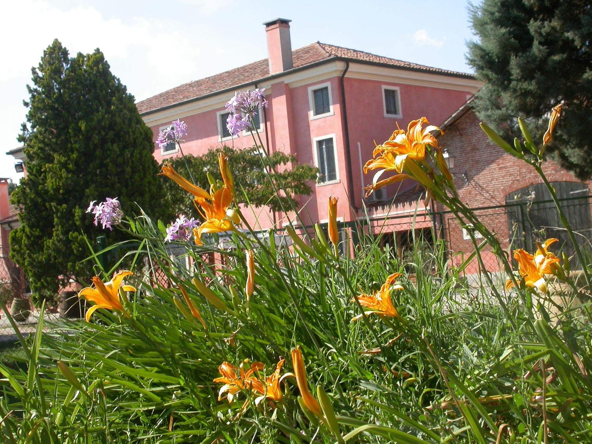 Bordeghina B&B In Farmhouse Pontecchio Polesine 外观 照片