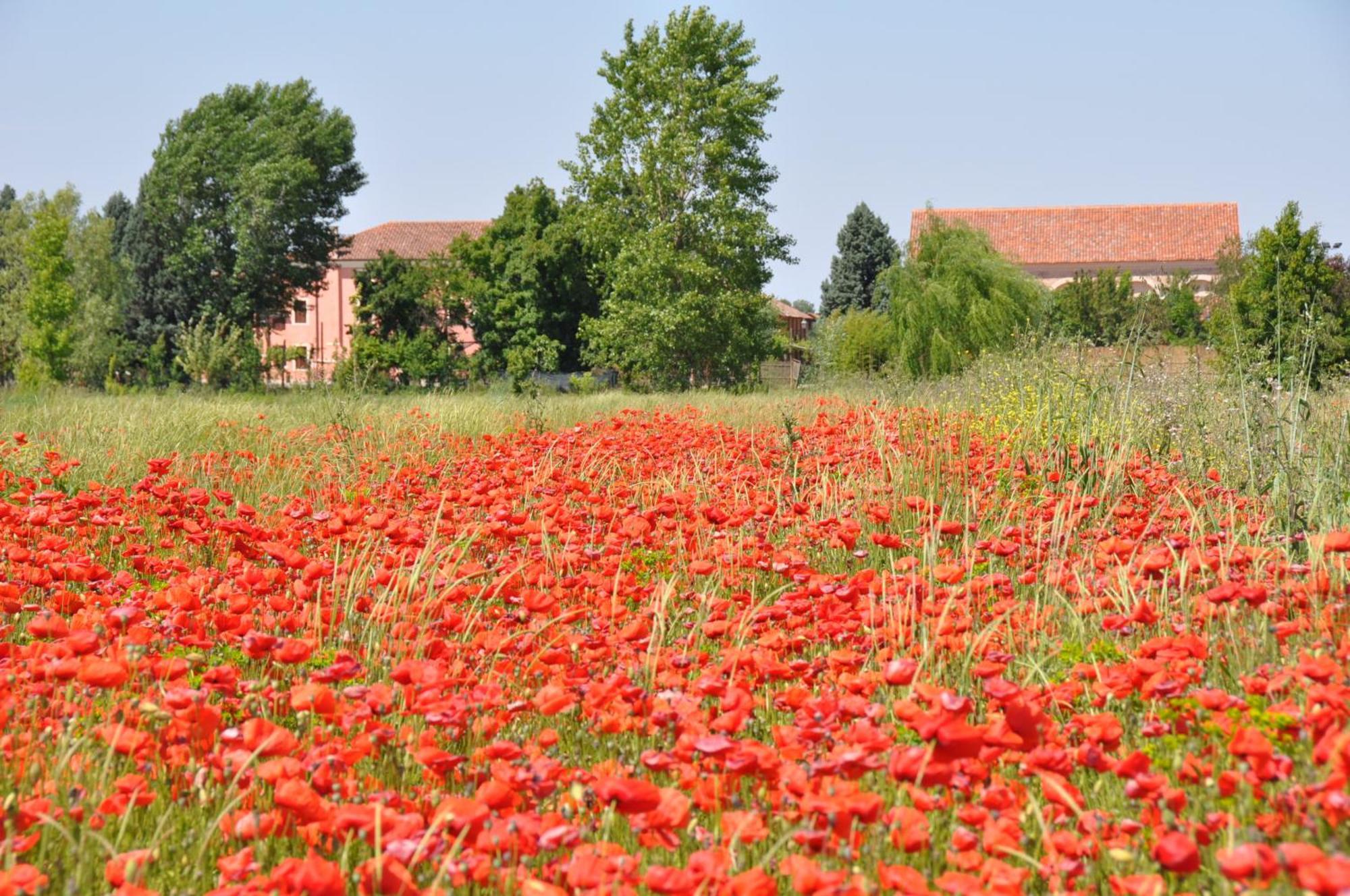 Bordeghina B&B In Farmhouse Pontecchio Polesine 外观 照片