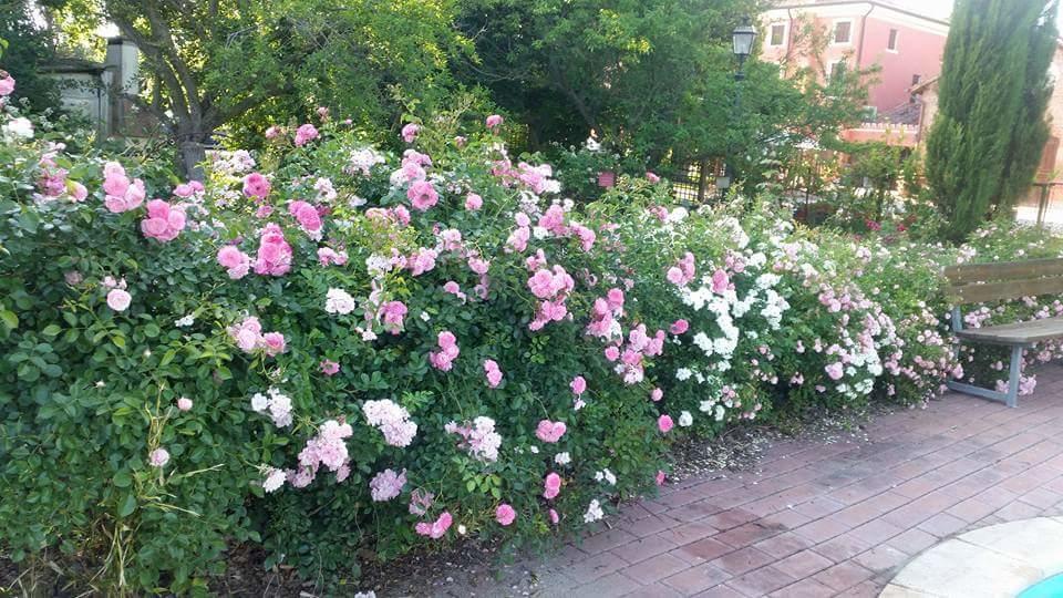 Bordeghina B&B In Farmhouse Pontecchio Polesine 外观 照片